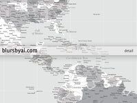 Custom world map print - highly detailed map with cities in light gray. "Cristina"