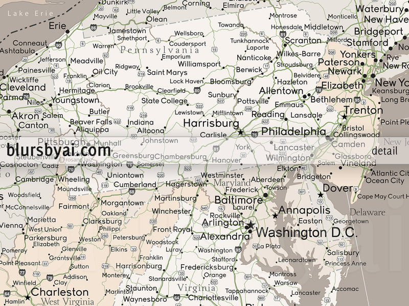 Custom US map print: highly detailed map of the US with roads. "Light earth tones"