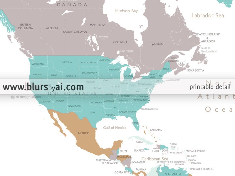 Custom map print: world map with countries & states in gray, camel and teal.