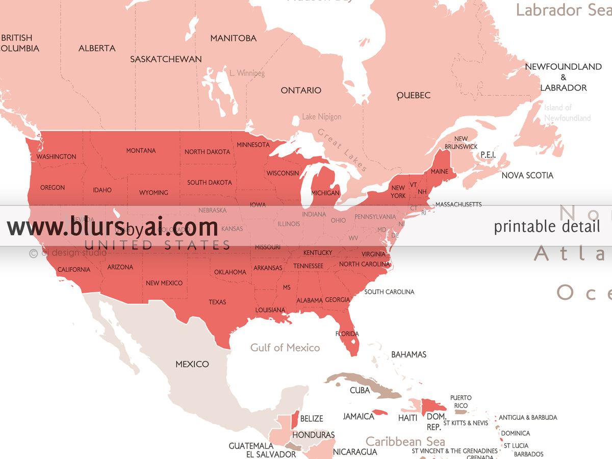 Custom map print: world map with countries and states in coral and taupe.