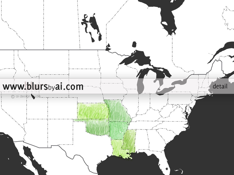 Custom map print: Blank world map with countries and states outlined for coloring. "Jax"