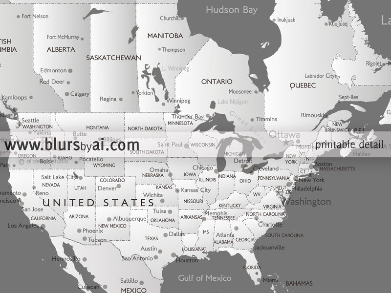 Custom quote - Printable world map with cities, capitals, countries, US States... labeled. Silver leaf.
