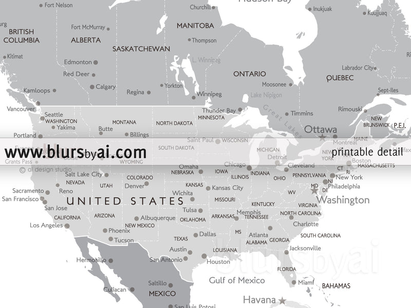 Custom quote - printable world map with cities, capitals, countries, US States... labeled. Light grayscale. Color combination "In the city"