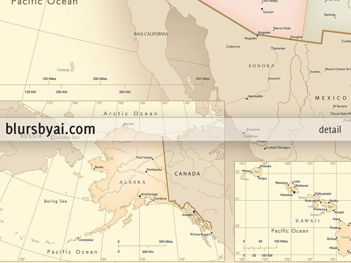 Custom print: map of the United States with cities in vintage style. "Librarian"