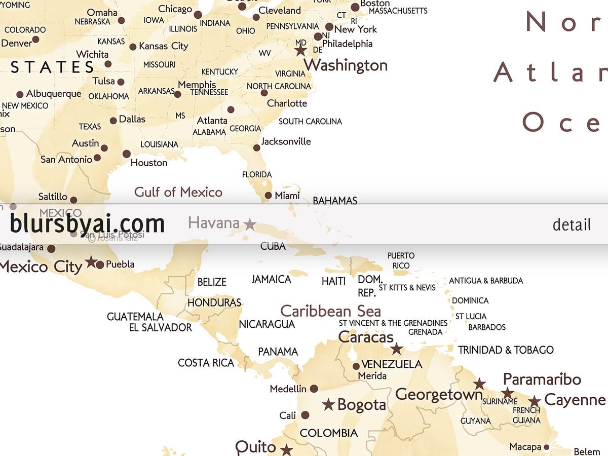 Art print on paper: custom world map with cities in elegant floral pattern. "Remy"