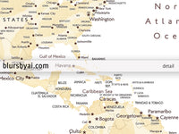 Art print on paper: custom world map with cities in elegant floral pattern. "Remy"